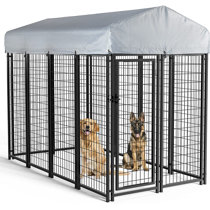 Wayfair 2025 dog fence